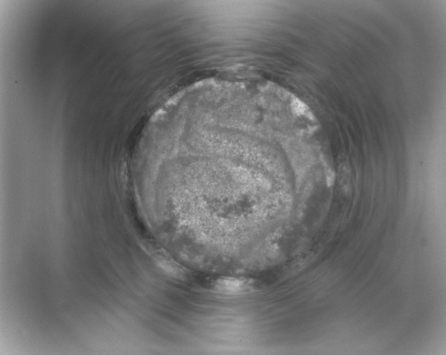 X0000068890375200606021926