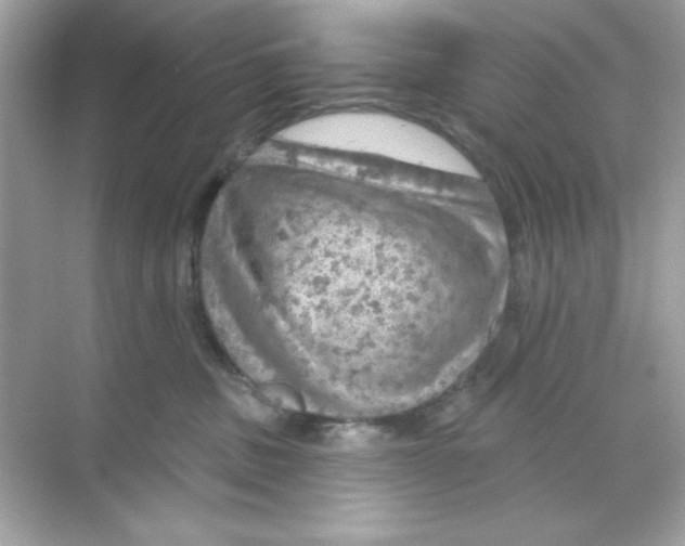 X0000068890379200606021926