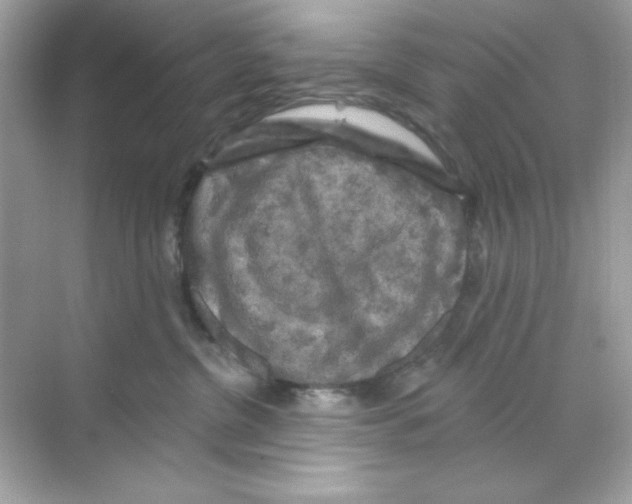 X0000068890380200606021926