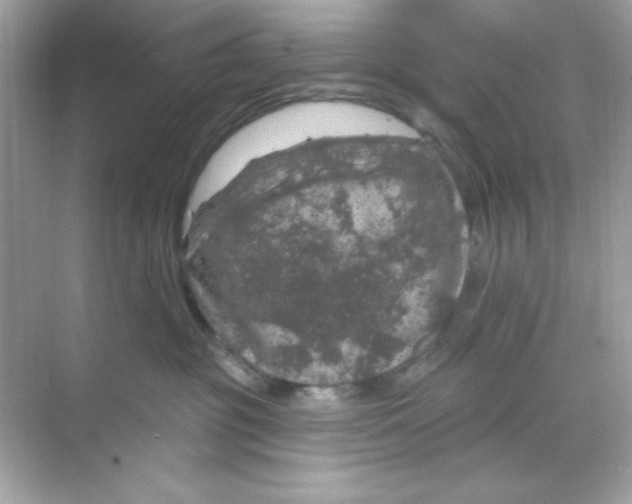 X0000068890381200606021926