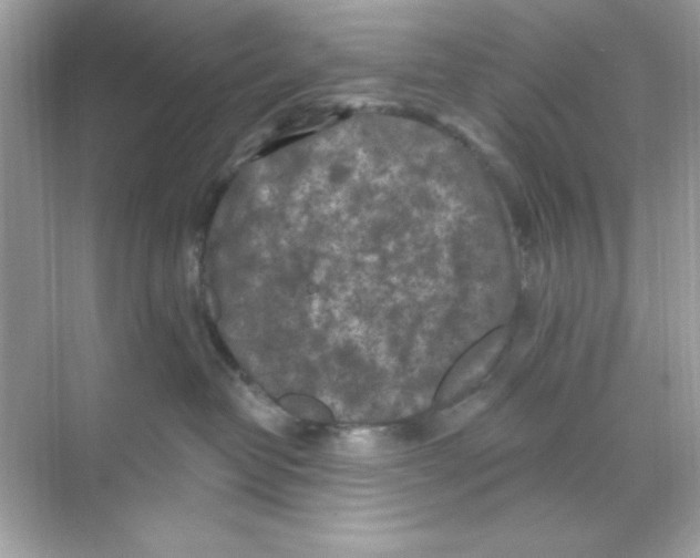 X0000068890382200606021926