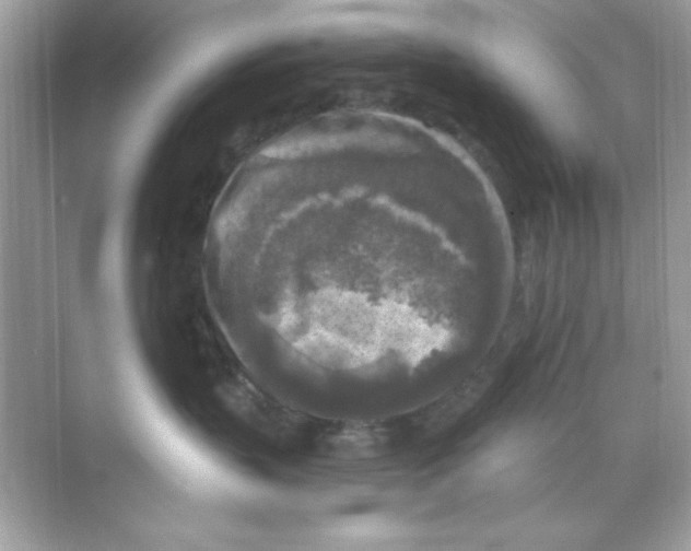 X0000068890383200606021926