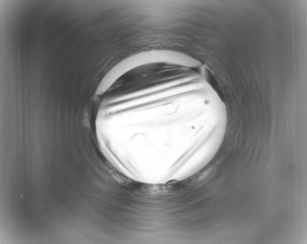 X0000068890384200606021926