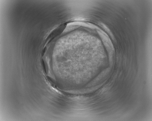 X0000068890385200606021925