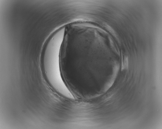 X0000068890387200606021925