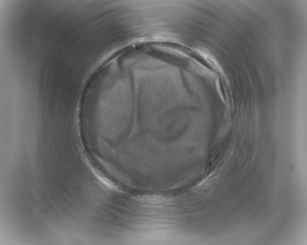 X0000068890389200606021925