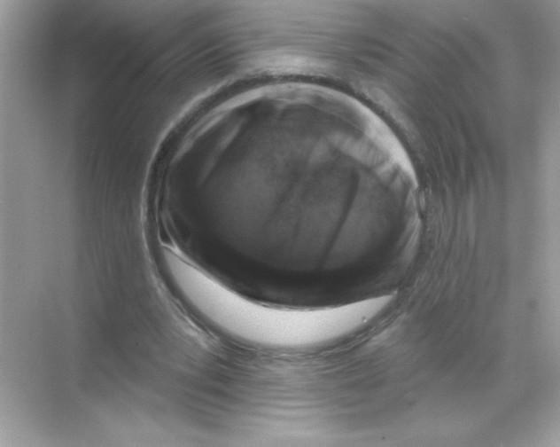 X0000068890391200606021925