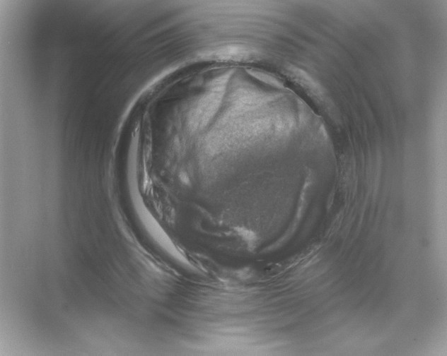 X0000068890392200606021925