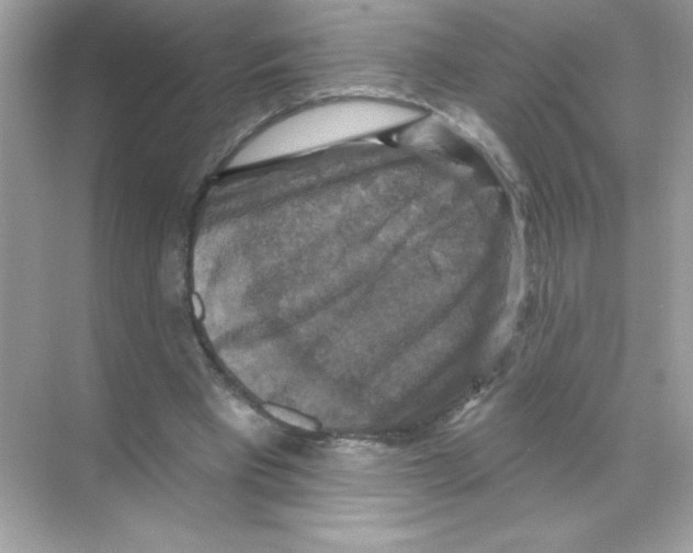 X0000068890393200606021925