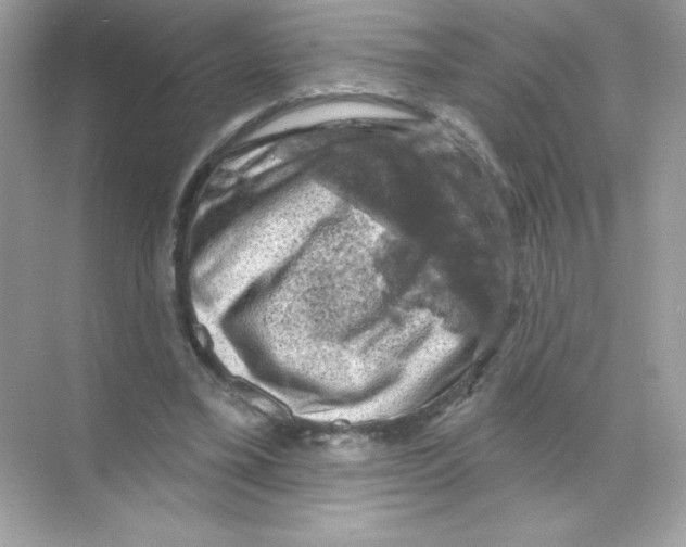 X0000068890395200606021925