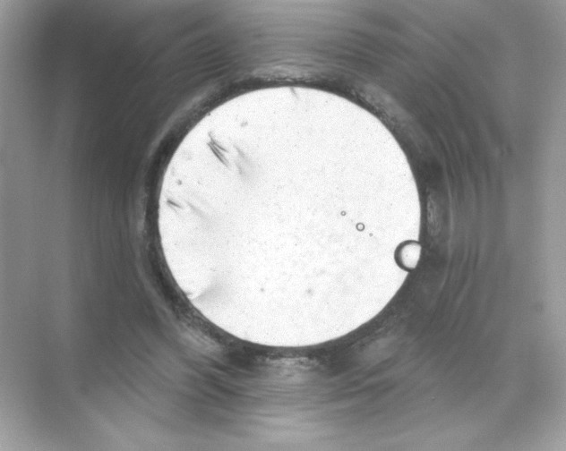 X0000068890396200606021925