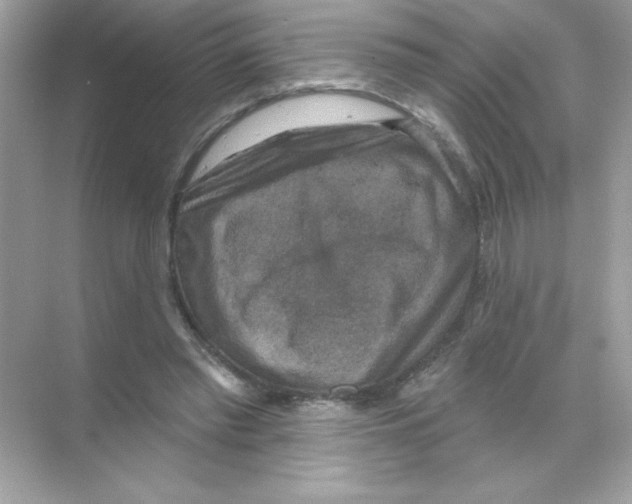 X0000068890397200606021925