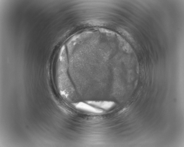 X0000068890398200606021925