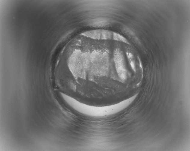 X0000068890400200606021925