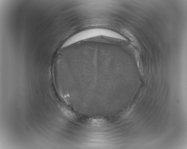 X0000068890401200606021925