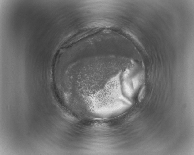 X0000068890403200606021925