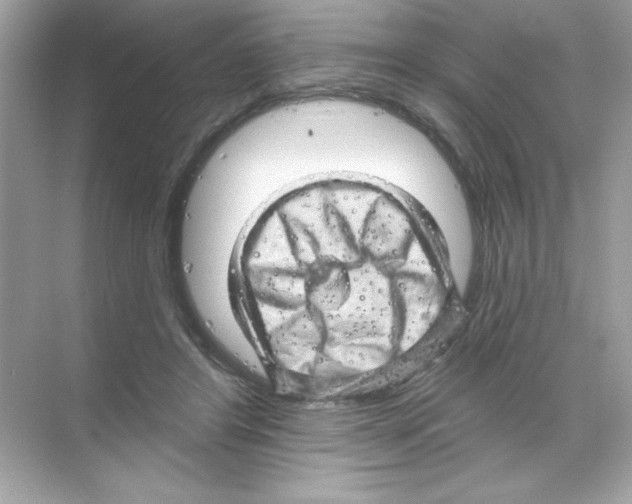 X0000068890404200606021925