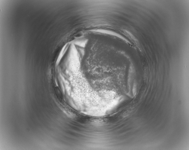 X0000068890405200606021925