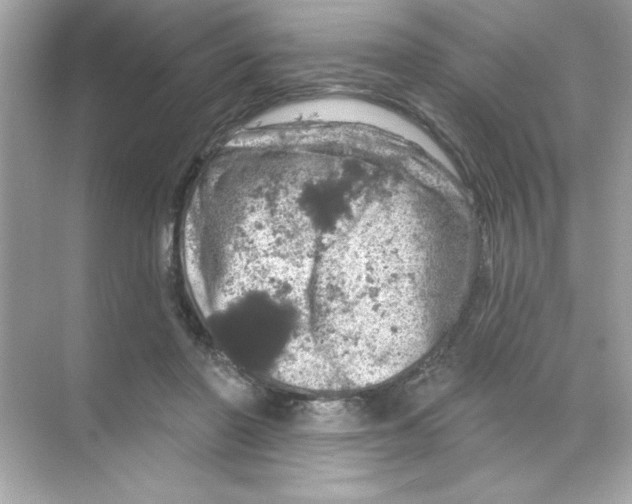 X0000068890406200606021924