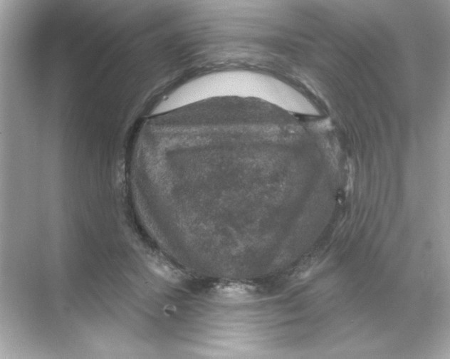 X0000068890407200606021924