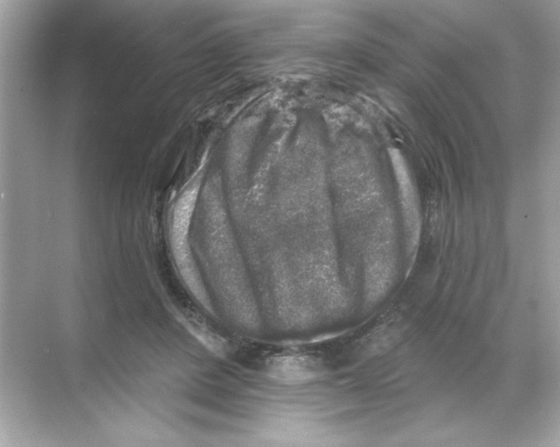 X0000068890408200606021924