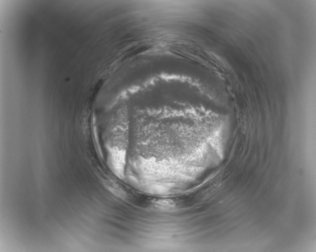 X0000068890409200606021924