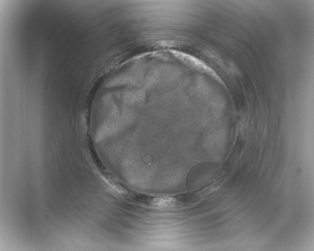 X0000068890410200606021924