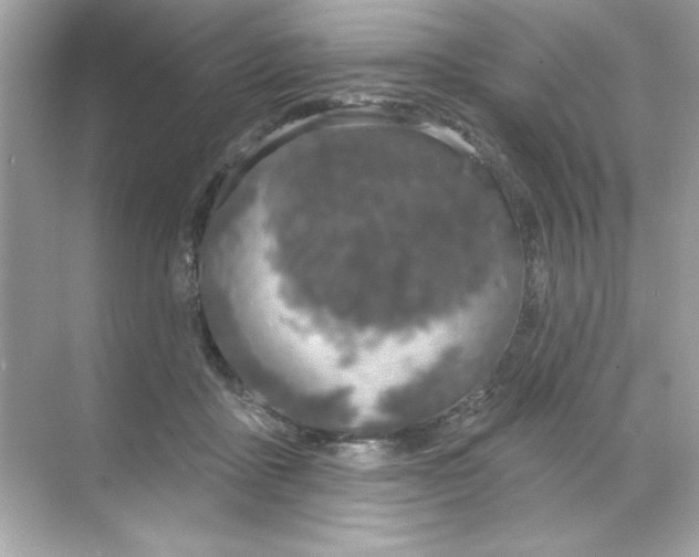 X0000068890411200606021924