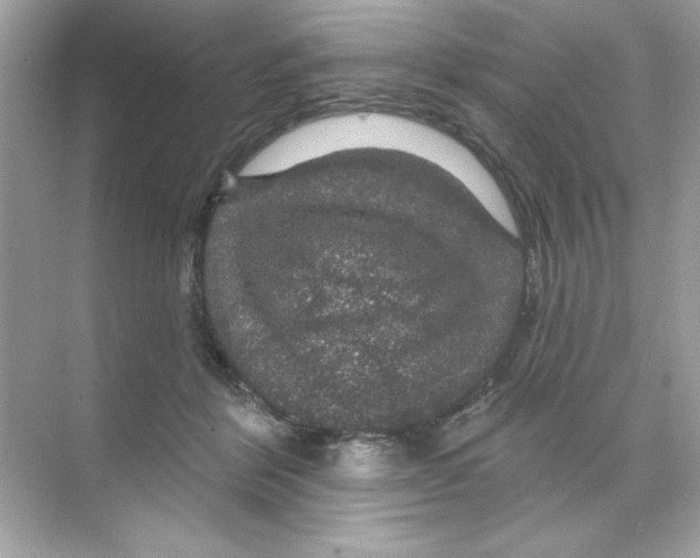 X0000068890412200606021924