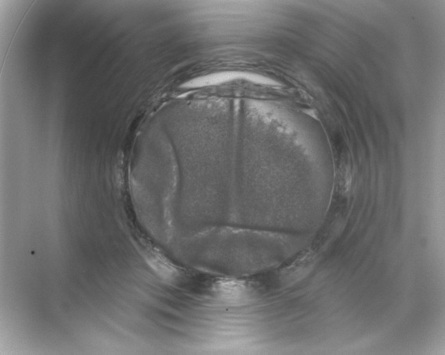 X0000068890413200606021924