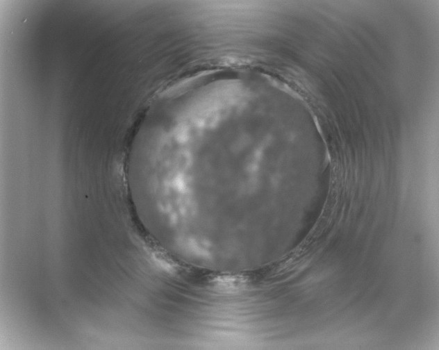 X0000068890415200606021924