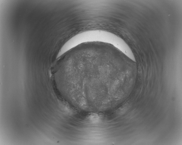 X0000068890416200606021924