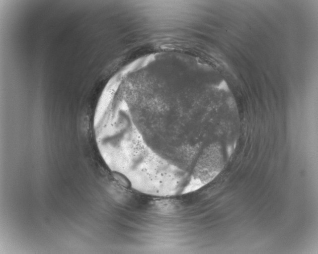 X0000068890417200606021924