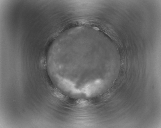 X0000068890419200606021924