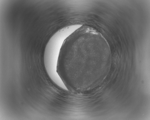 X0000068890420200606021924