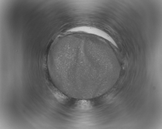 X0000068890421200606021924