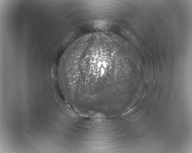 X0000068890424200606021924