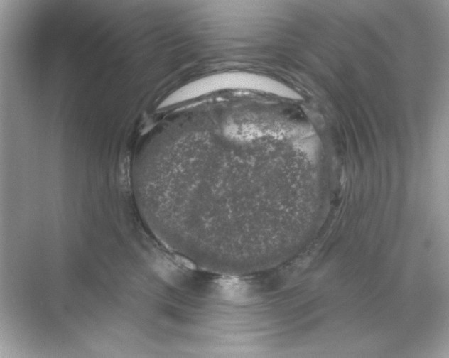 X0000068890425200606021924