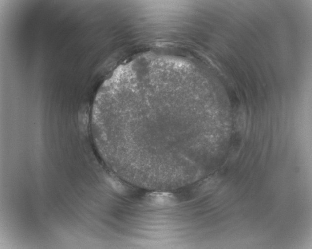 X0000068890427200606021924