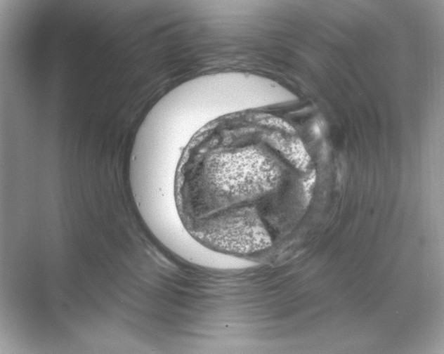 X0000068890428200606021924