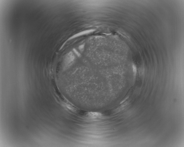 X0000068890429200606021924