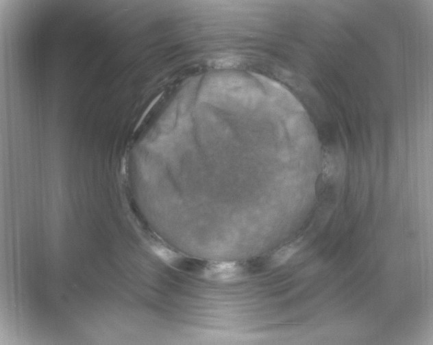 X0000068890431200606021924