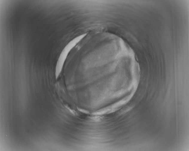 X0000068890432200606021924