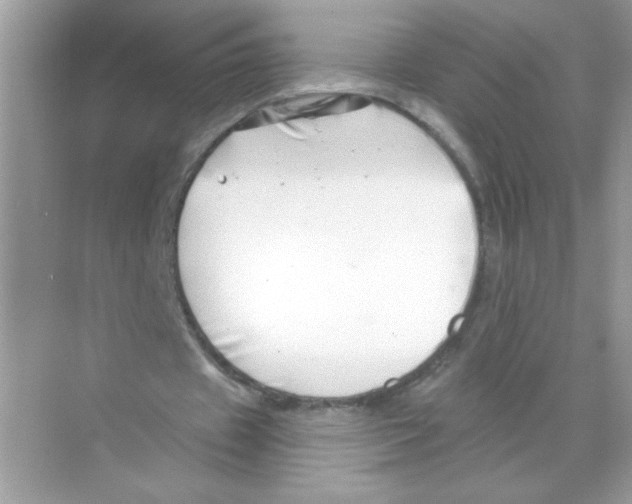 X0000068890433200606021923