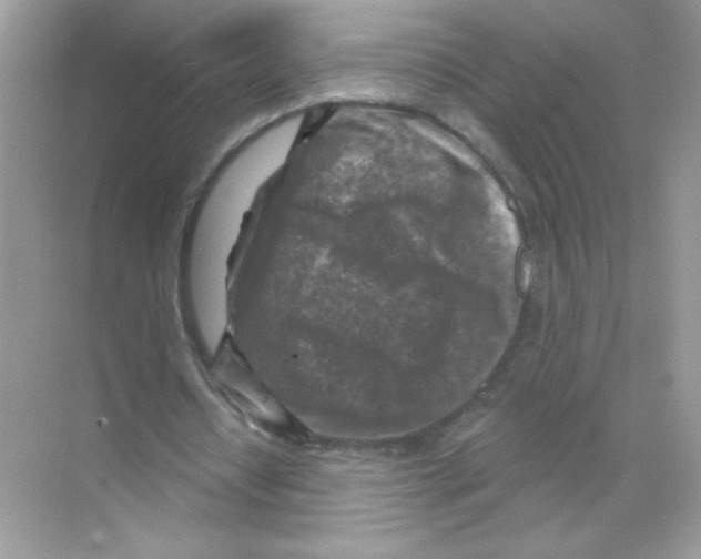 X0000068890434200606021923