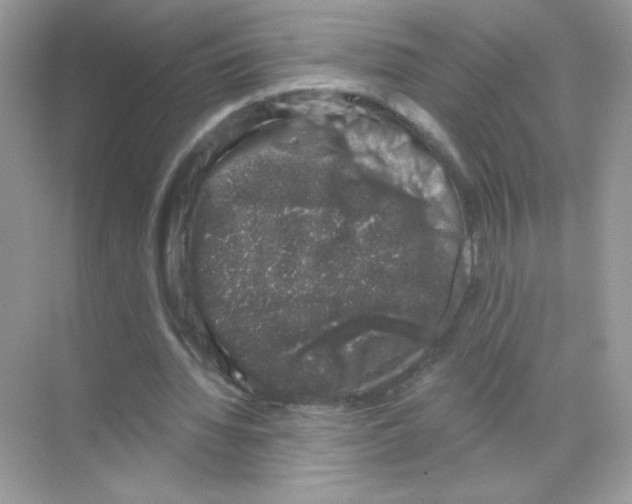 X0000068890436200606021923