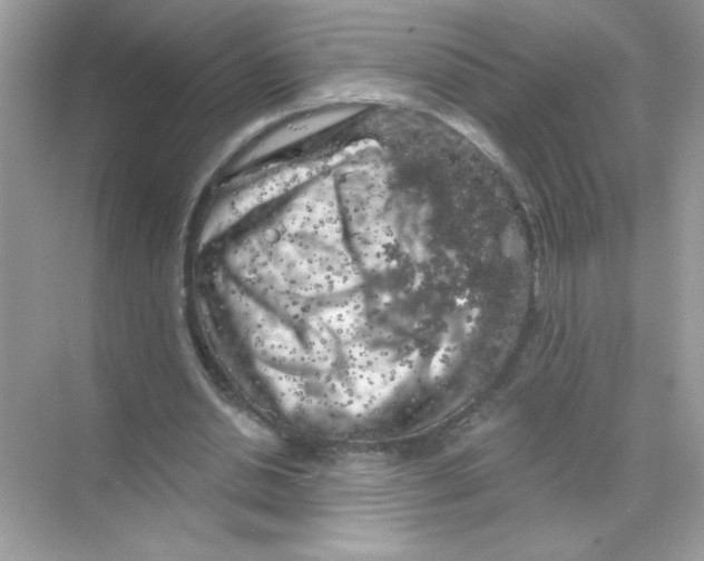 X0000068890438200606021923