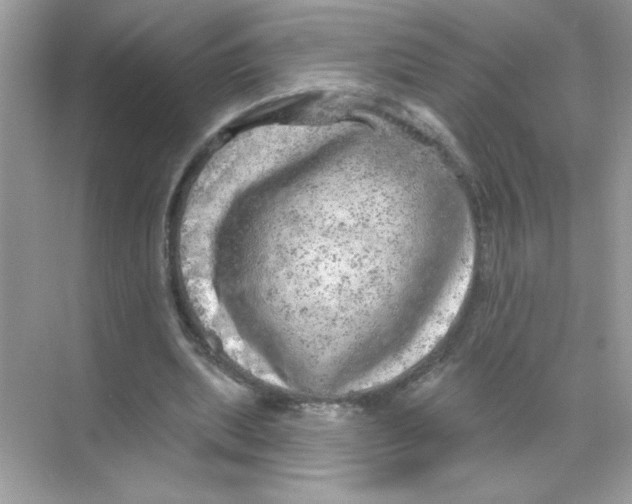 X0000068890439200606021923