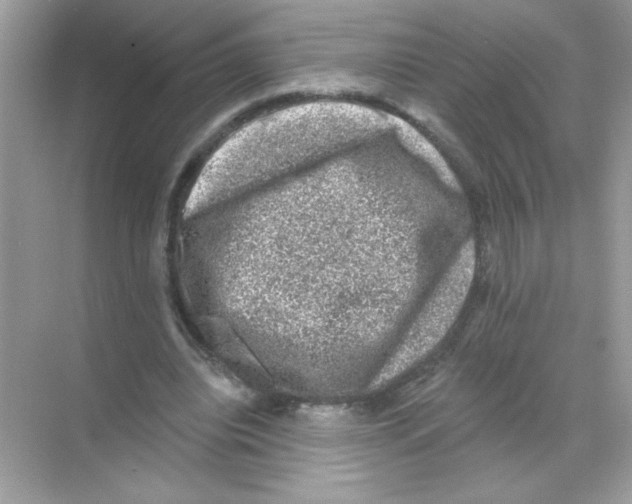 X0000068890440200606021923