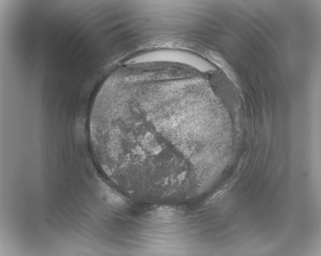 X0000068890441200606021923